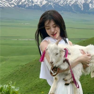 熊出没之夺宝熊兵